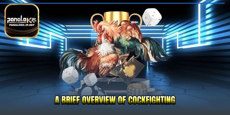 A concise overview of cockfighting