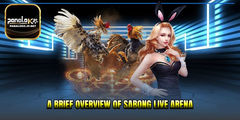 A brief overview of Sabong Live Arena