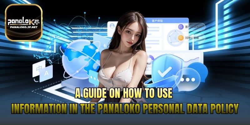 A guide on how to use information in the PANALOKO Personal Data Policy