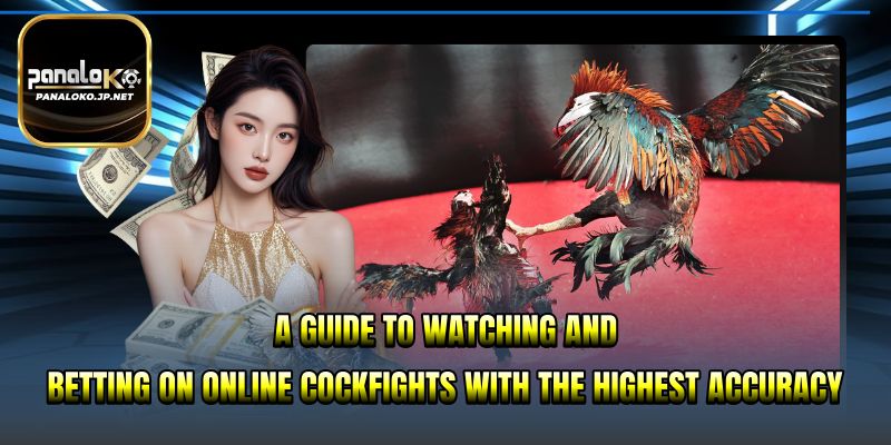 A guide to watching and betting on online cockfights with the highest accuracy.