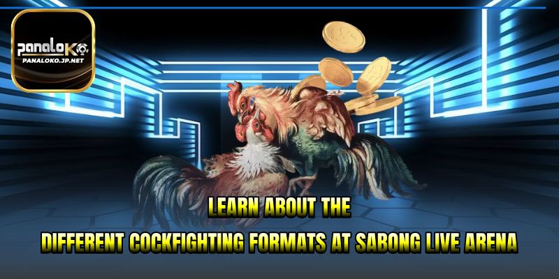 Learn about the different cockfighting formats at Sabong Live Arena