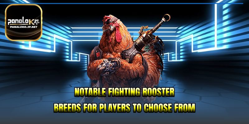Notable fighting rooster breeds for players to choose from