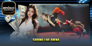 Sabong live arena - Classy Knife Cocks Fighting Arena 2026